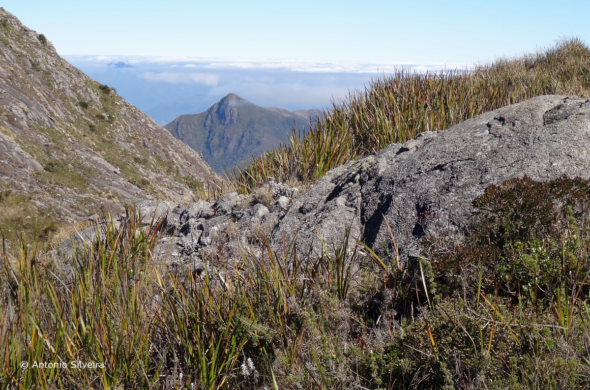 Campos de altitude – Wikipédia, a enciclopédia livre